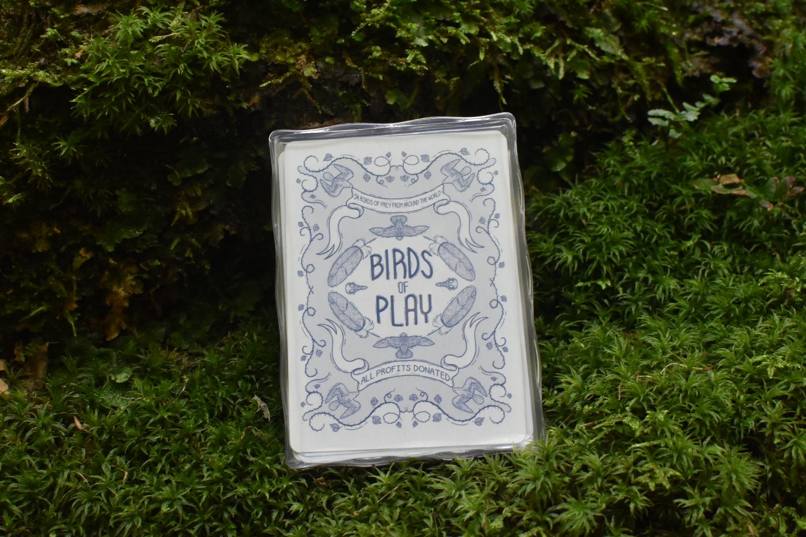 Birds of Play Case