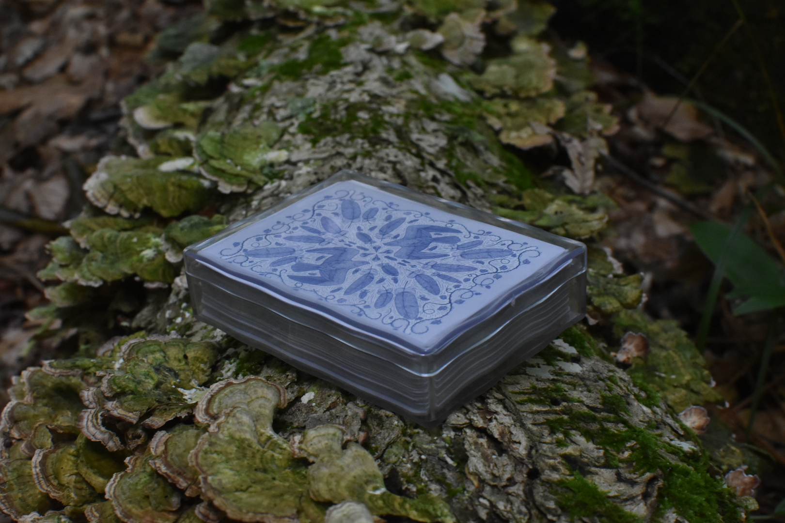 Birds of Play Case with Mushrooms